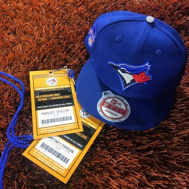 Day In The Life Of A Toronto Blue Jay